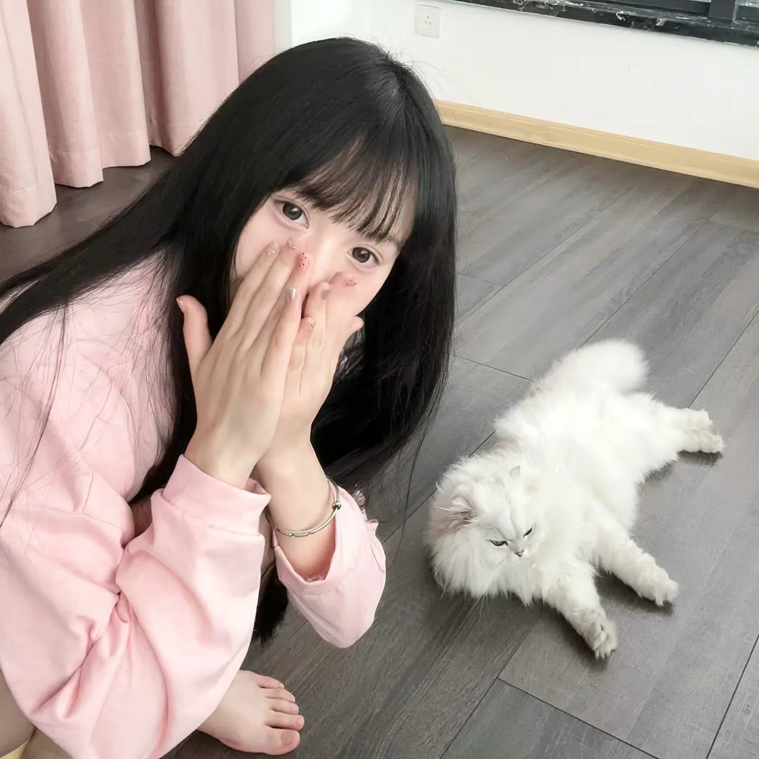 铁汉层龙